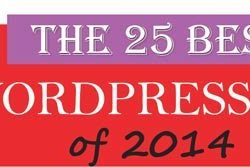 Top 25 WordPress Plugins in 2014 [INFOGRAPHIC]