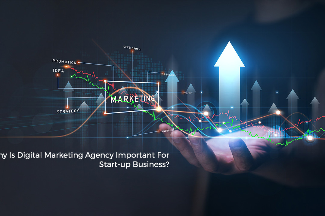 Why Is Digital Marketing Agency Important For Start-up Business?